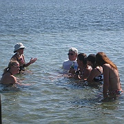 Picture 066